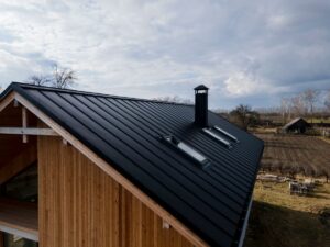 Importance of chimney cap
