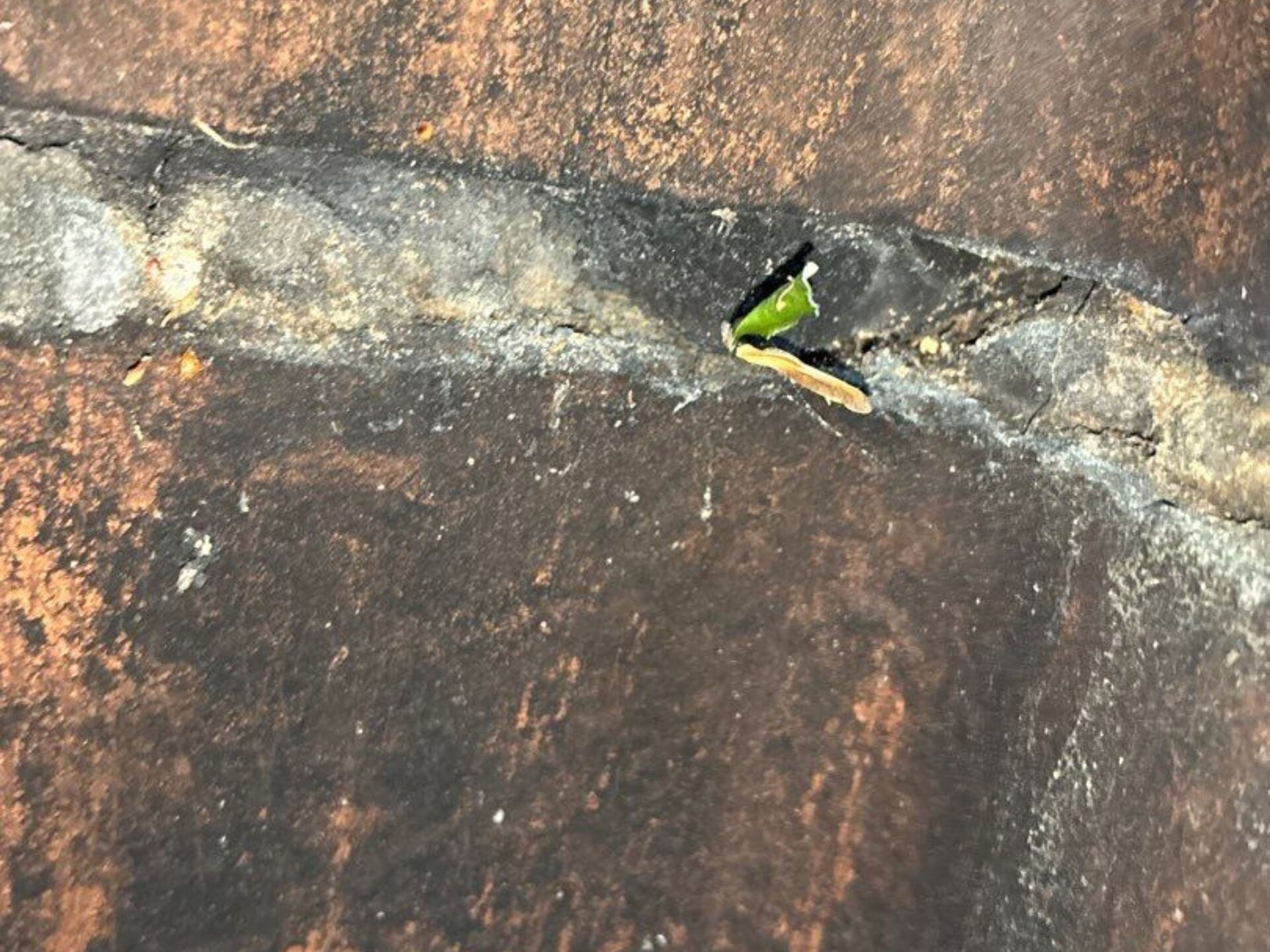 Crown leak damaging liner joints.