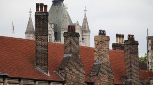 New Chimney Sweep Reports