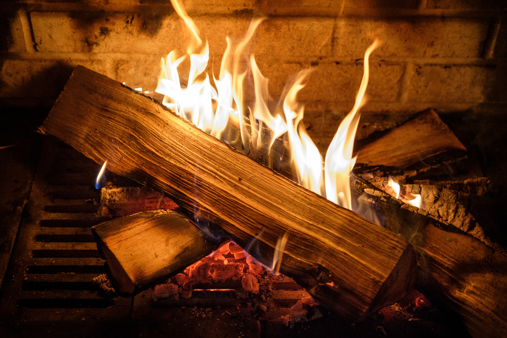 The Best Woods to Burn in Your Fireplace