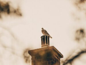 Chimney Liner Replacement - A Step In Time Chimney Sweeps