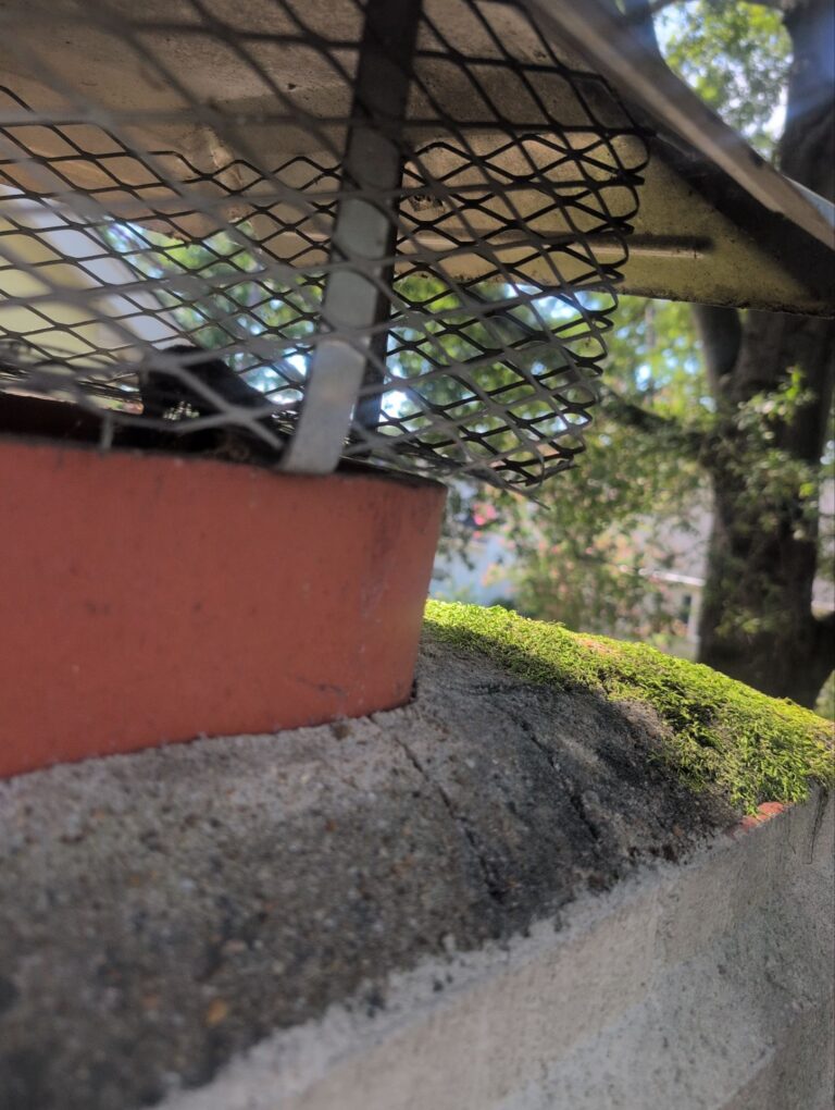 chimney service richmond
